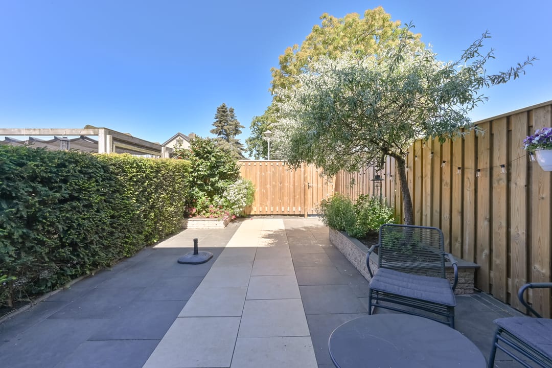 Foto 41 van Penningkruid 39