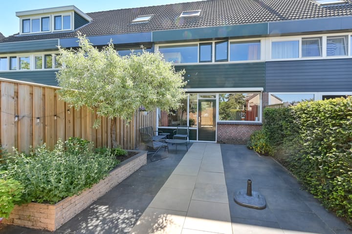 Foto 44 van Penningkruid 39