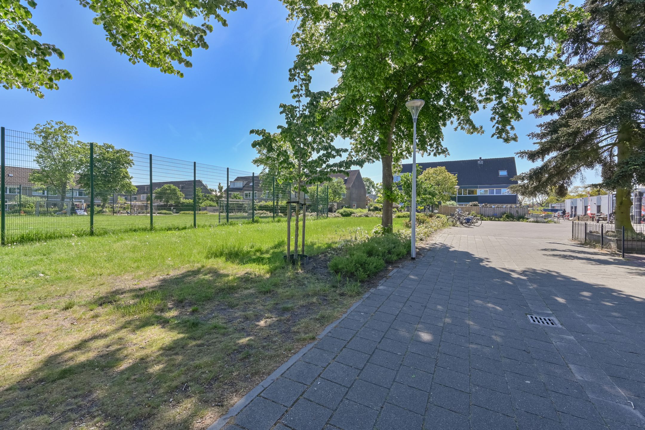 Foto 45 van Penningkruid 39