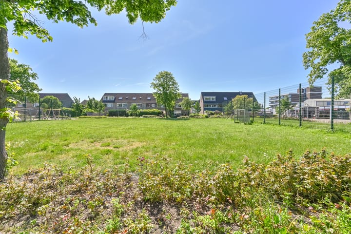 Foto 46 van Penningkruid 39