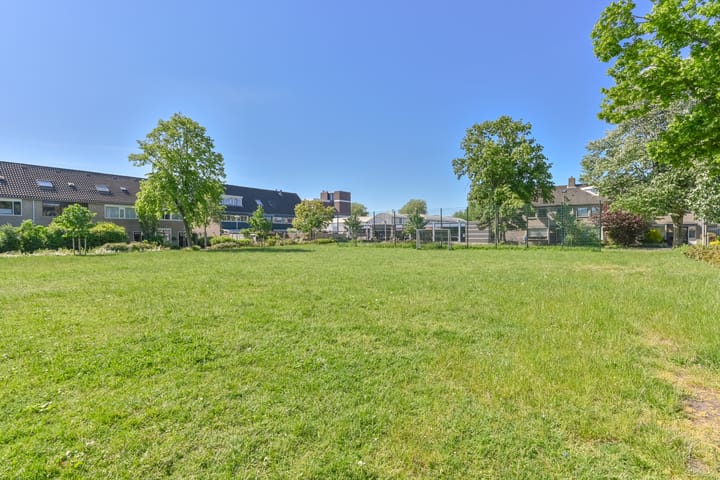 Foto 47 van Penningkruid 39