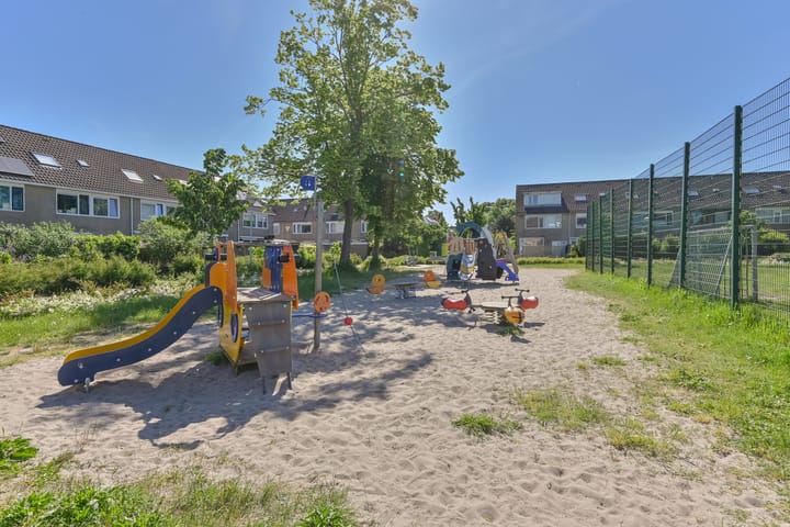 Foto 48 van Penningkruid 39