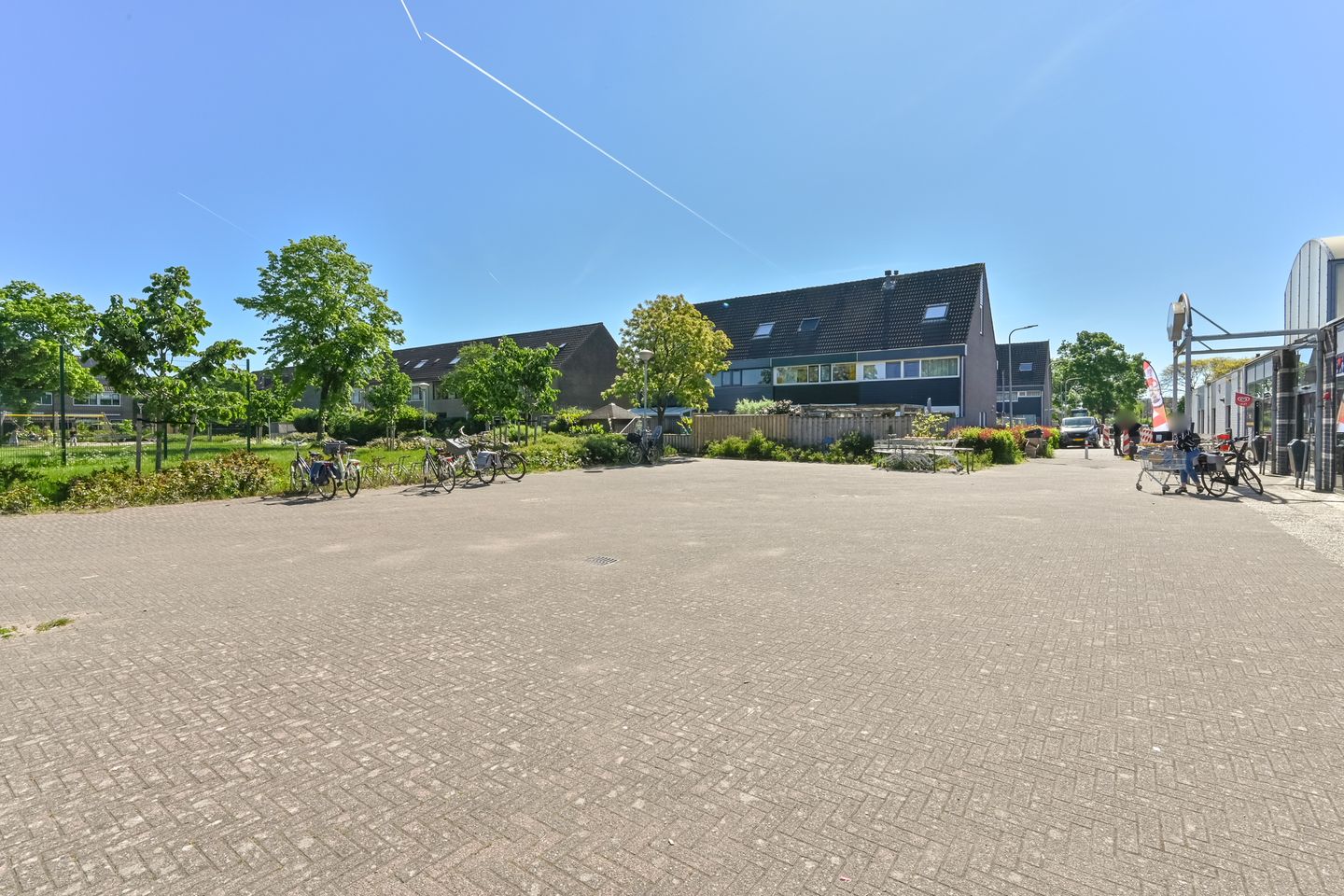 Foto 49 van Penningkruid 39