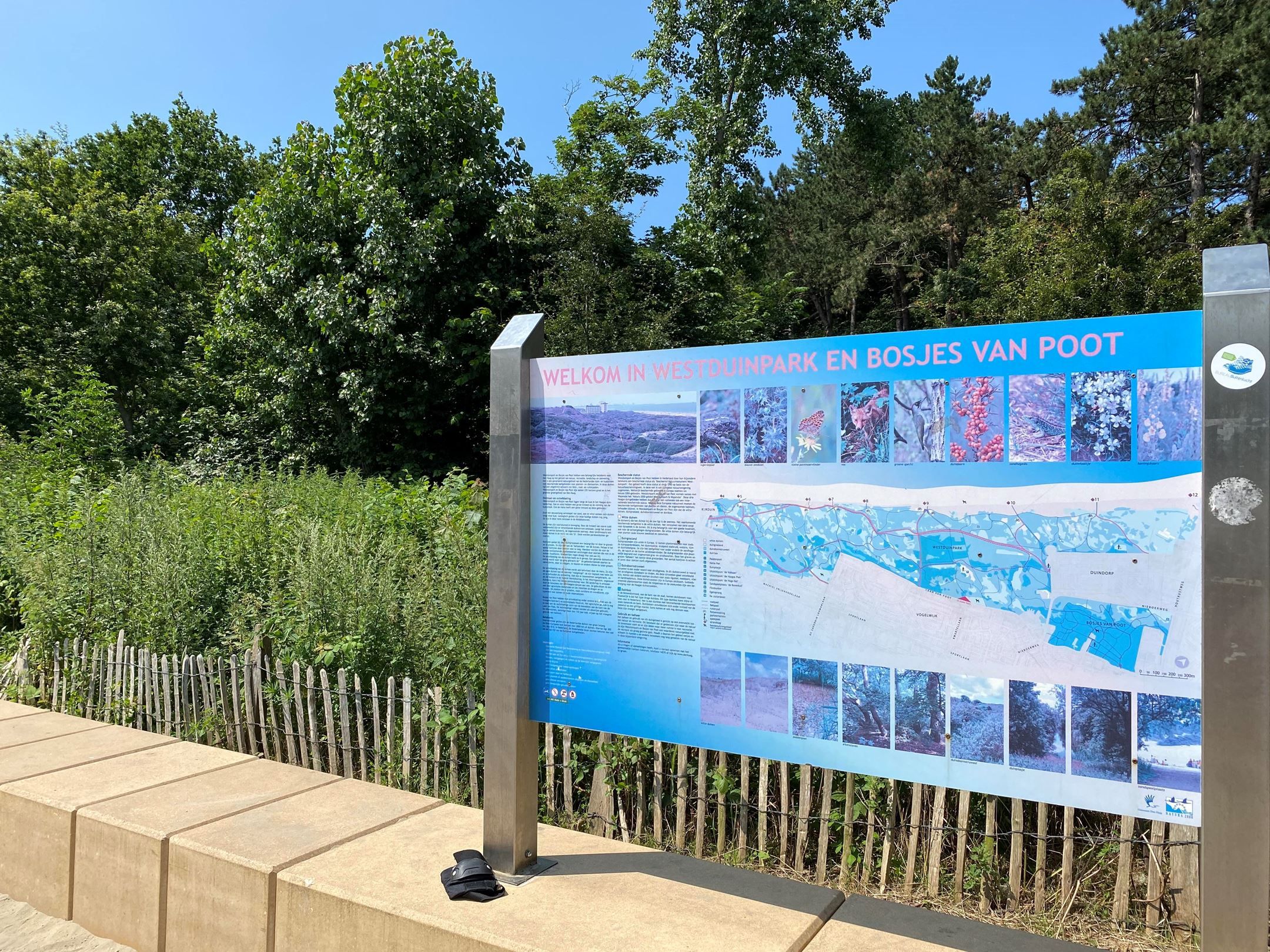 Foto 39 van De Savornin Lohmanlaan 260