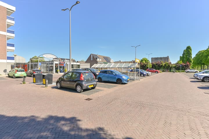 Foto 50 van Penningkruid 39