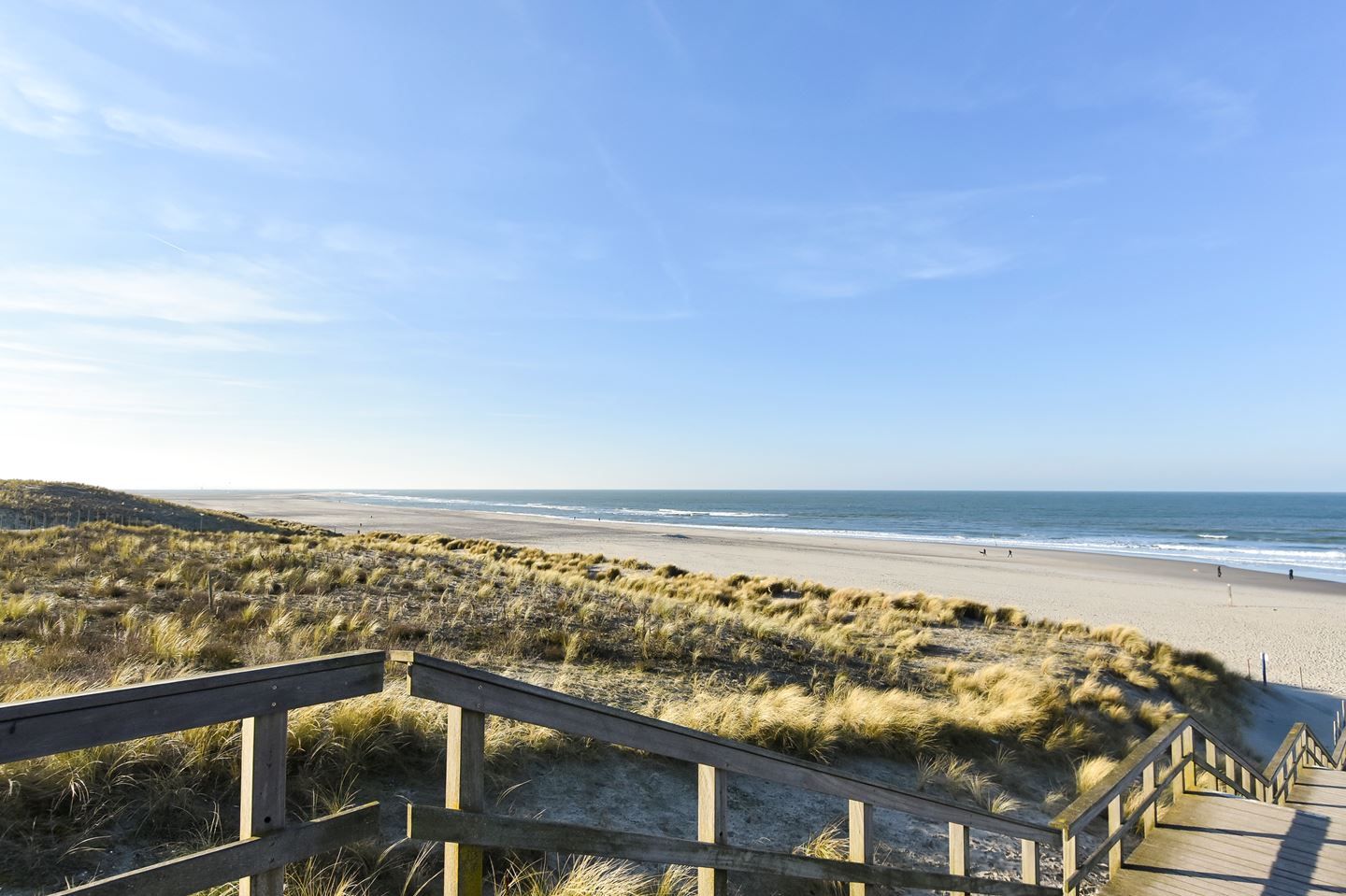 Foto 42 van De Savornin Lohmanlaan 260