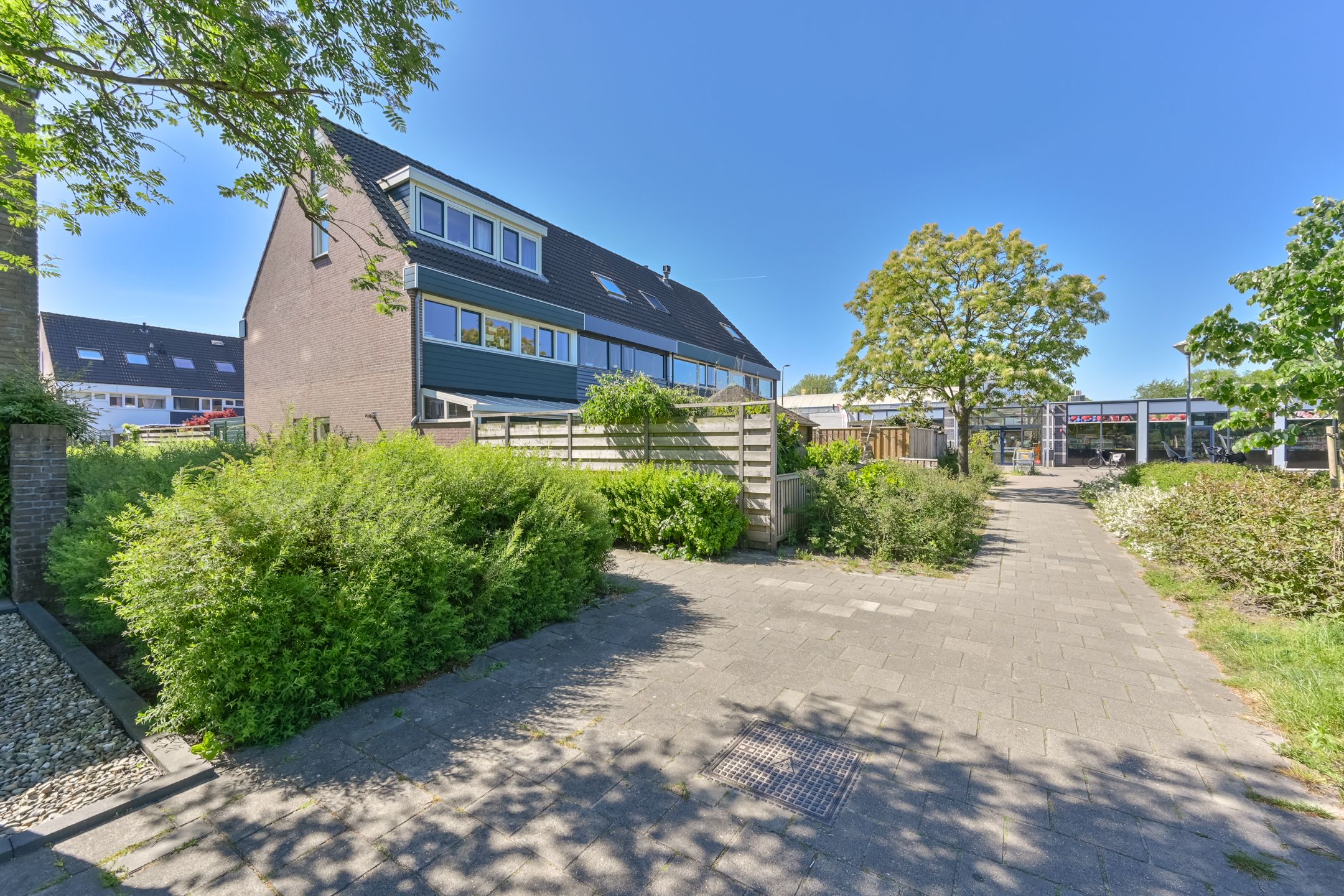 Foto 51 van Penningkruid 39