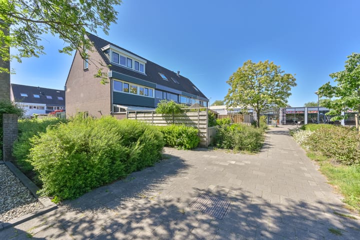 Foto 51 van Penningkruid 39