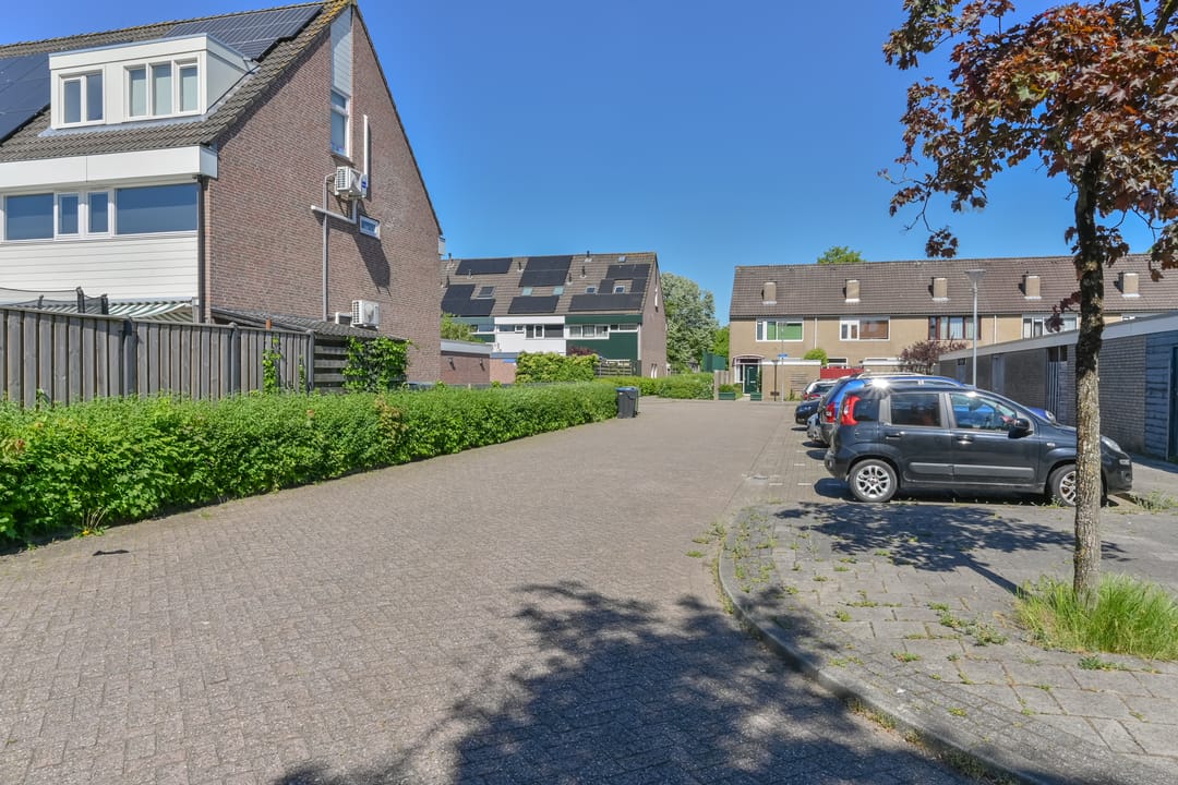 Foto 52 van Penningkruid 39