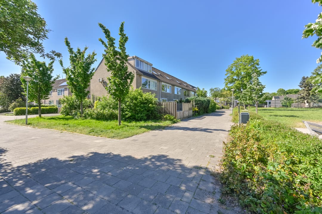 Foto 56 van Penningkruid 39