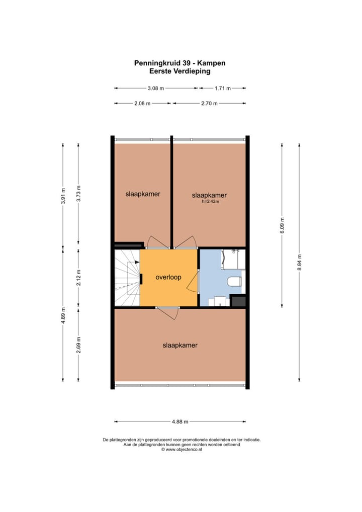 Foto 60 van Penningkruid 39