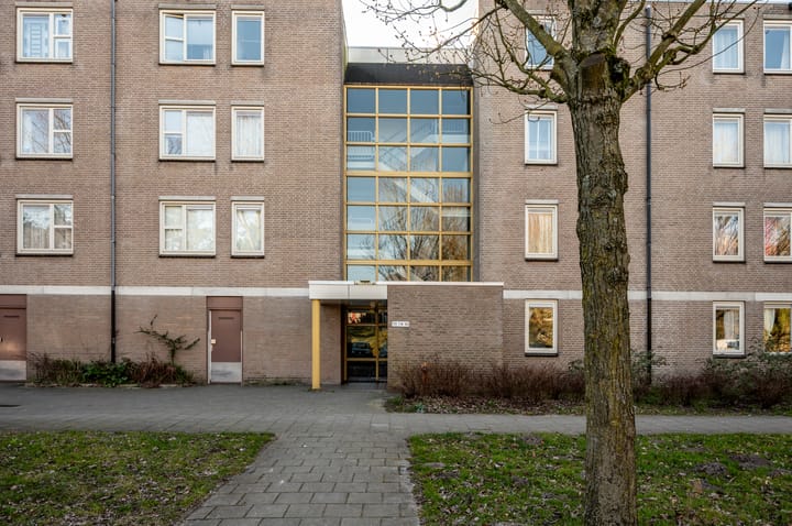 Foto 2 van Wamelplein 188