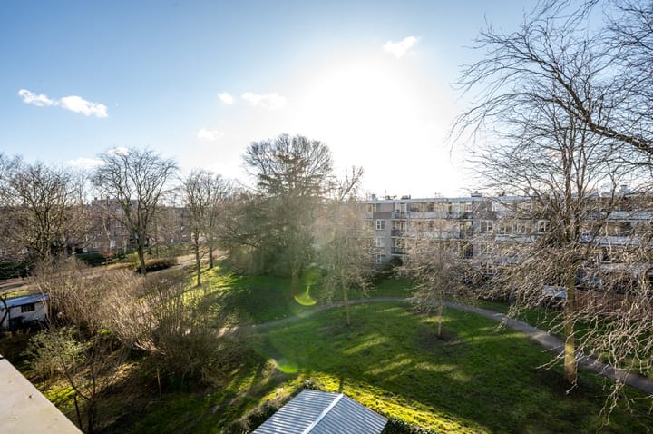 Foto 20 van Wamelplein 188