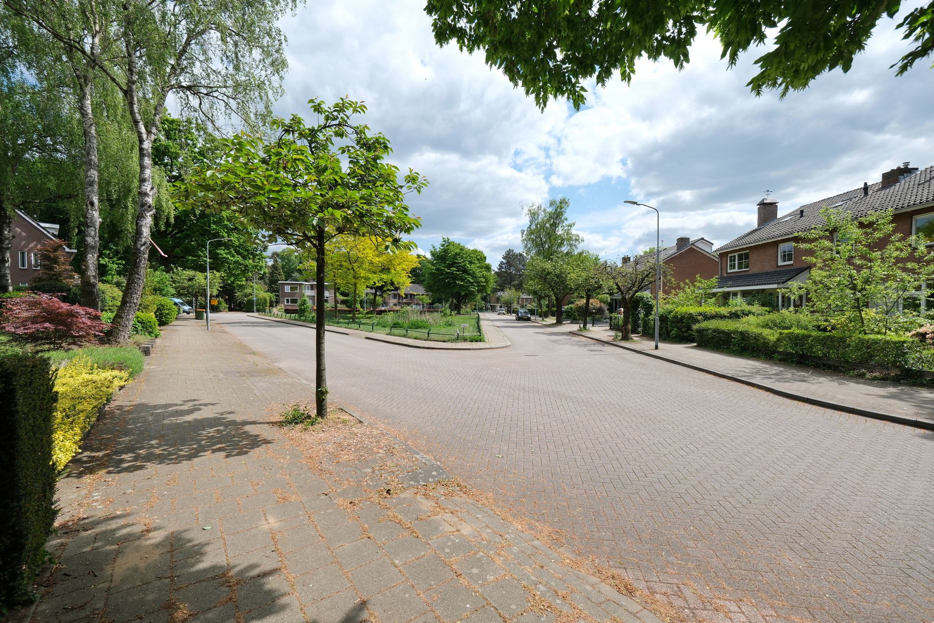 Foto 30 van Prinsesselaan 37