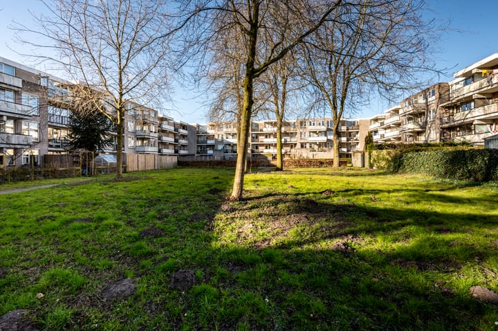 Foto 25 van Wamelplein 188