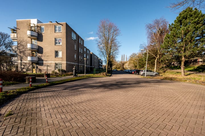 Foto 27 van Wamelplein 188