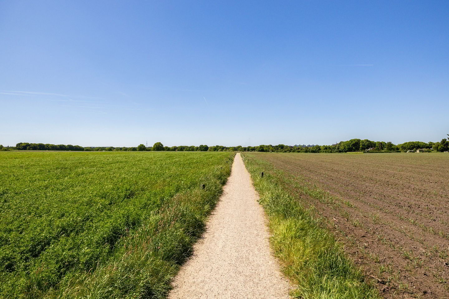 Foto 5 van Pieter de Molijnlaan 43