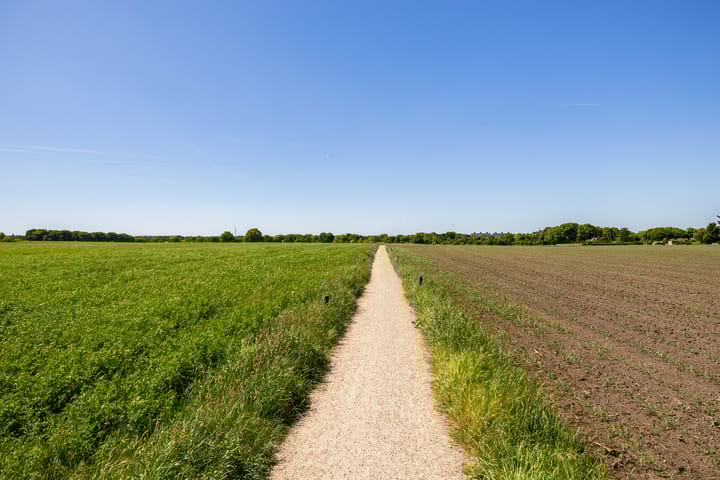 Foto 5 van Pieter de Molijnlaan 43