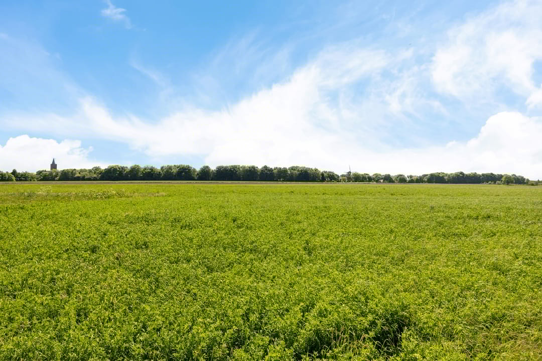 Foto 32 van Pieter de Molijnlaan 43