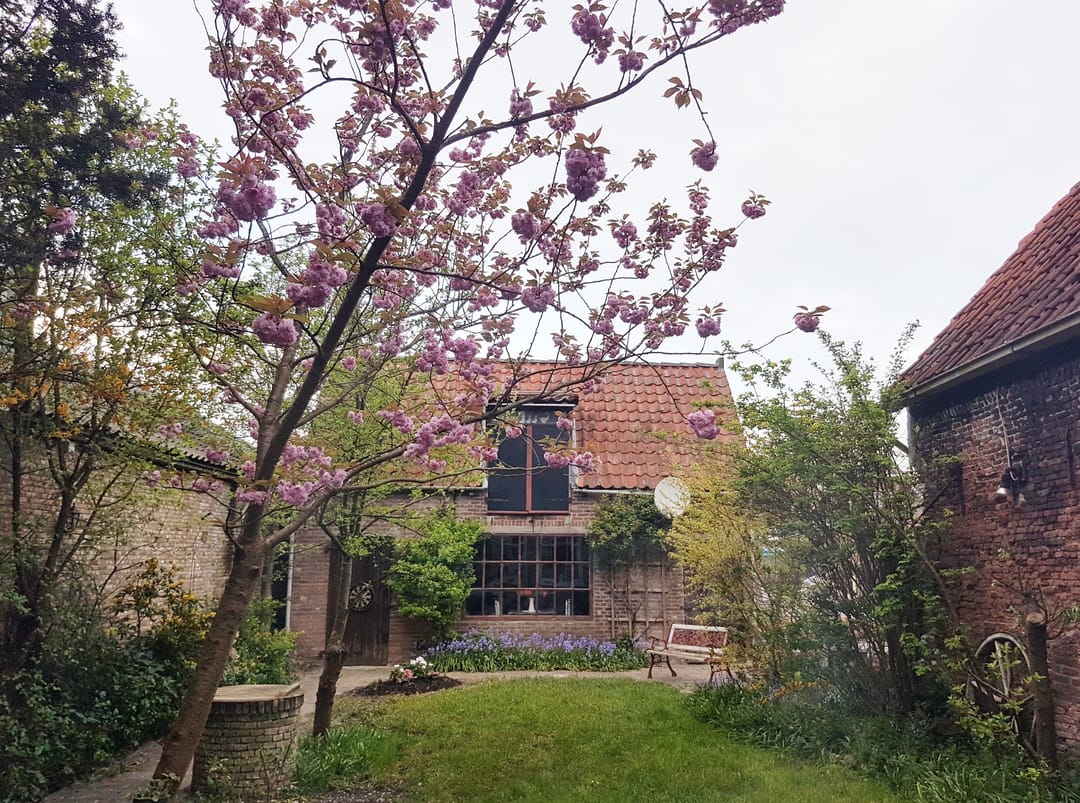 Photo 28 of Voorstraat 36