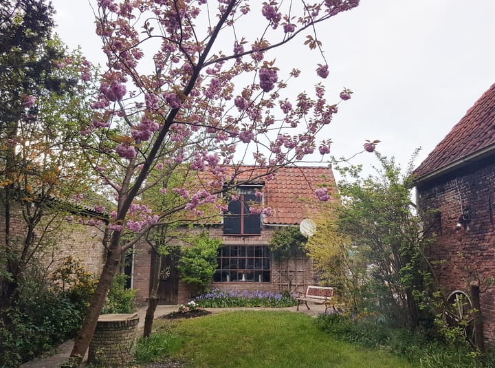 Foto 28 van Voorstraat 36