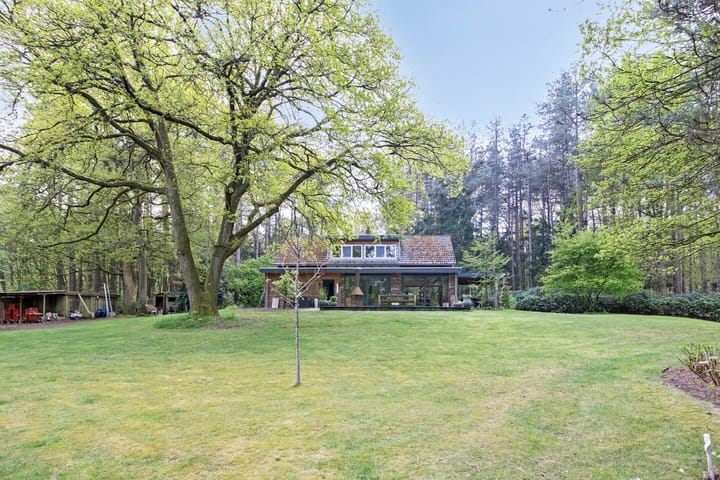 undefined main image