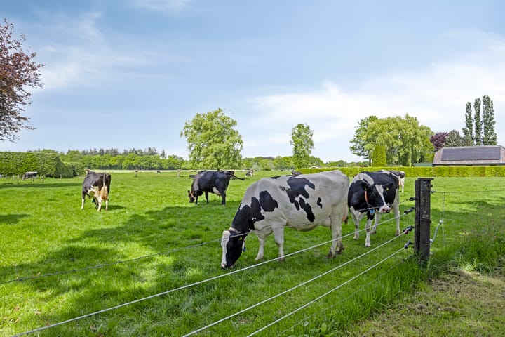 Foto 45 van Zuppeldseweg 55