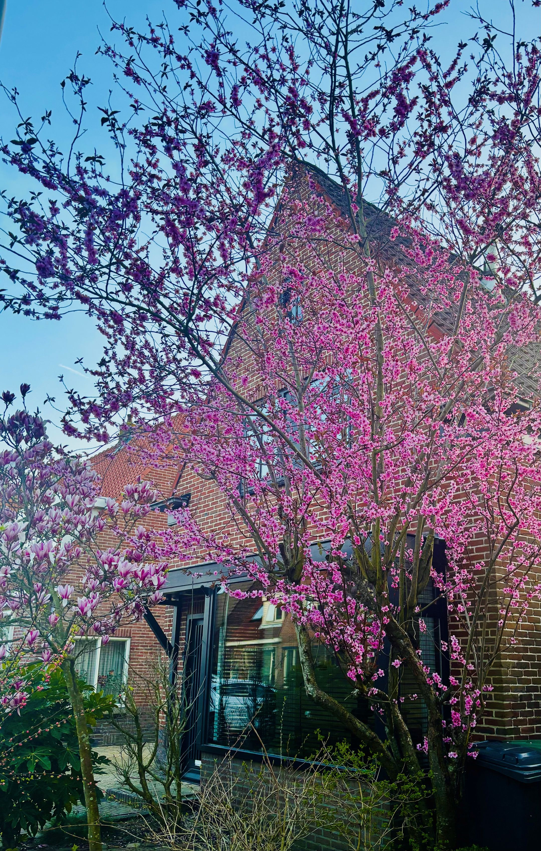 Photo 6 of Oude Haarlemmerweg 9