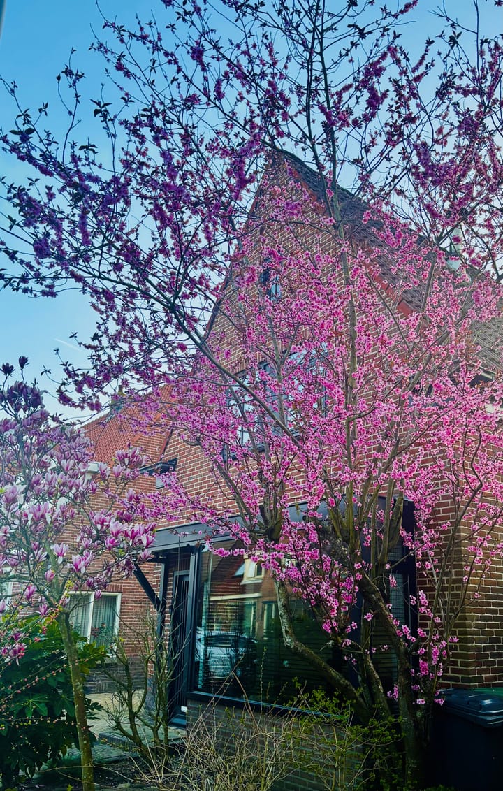 Foto 6 van Oude Haarlemmerweg 9