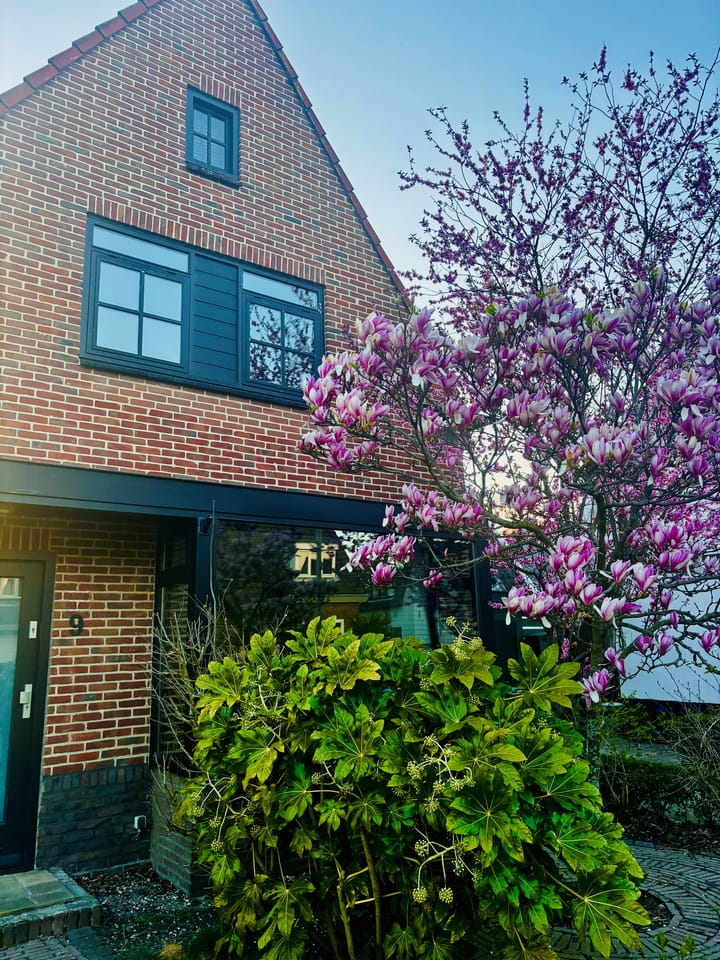 Foto 9 van Oude Haarlemmerweg 9