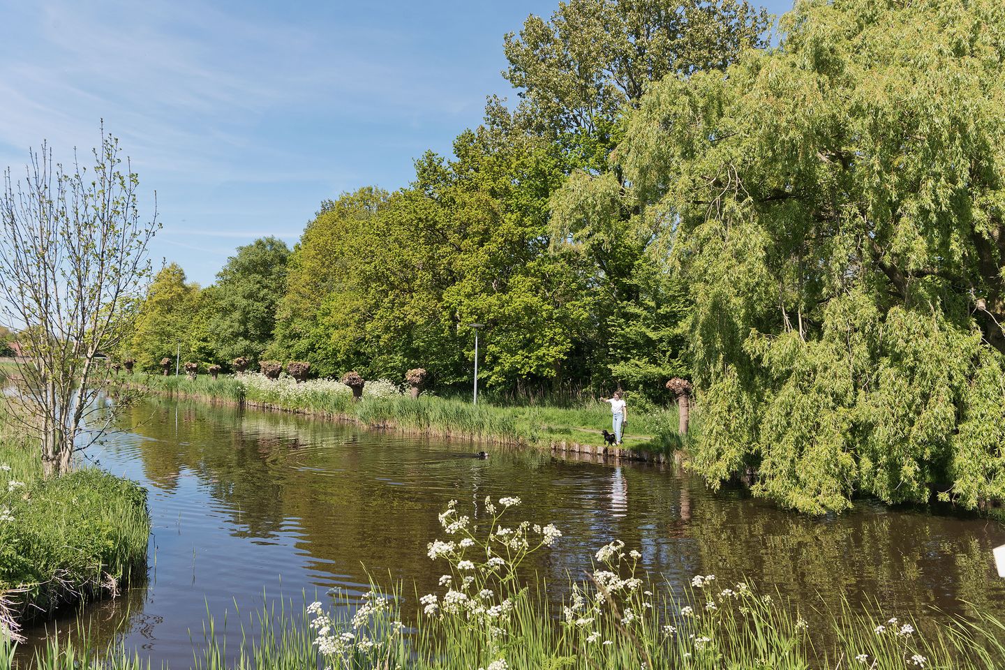 Foto 25 van Nijenrode 14