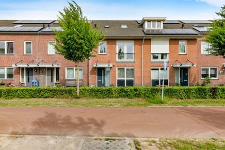 undefined main image