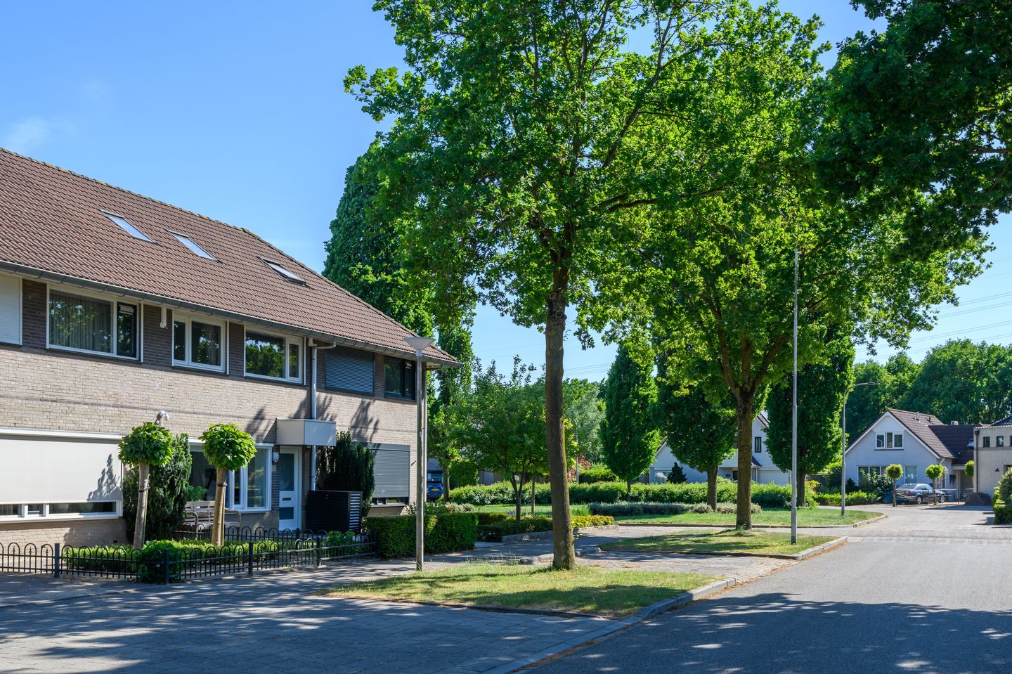 Foto 35 van Holtgesbroek 1225