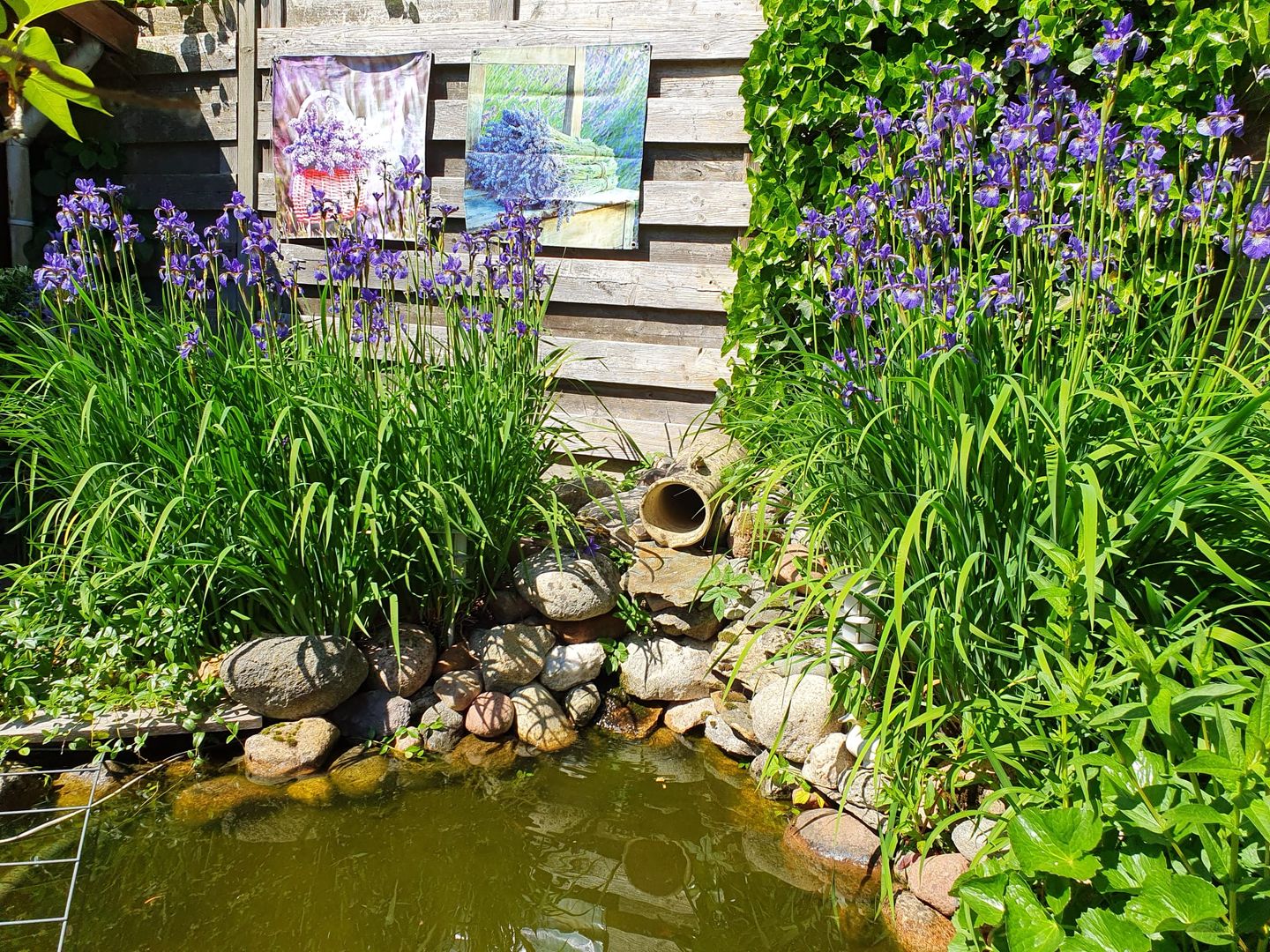 Foto 5 van Schotlaan 29