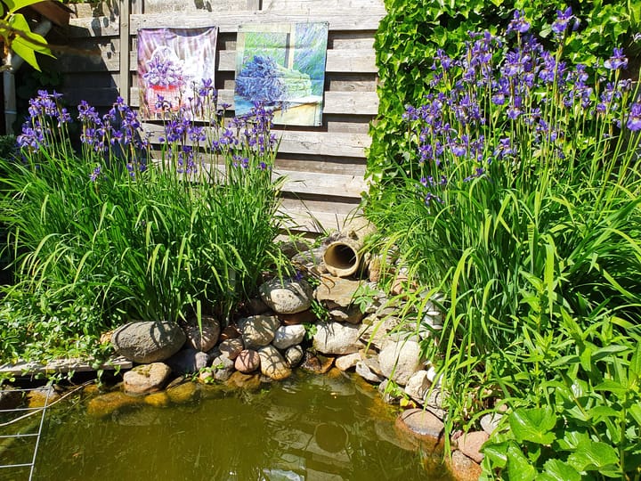 Foto 5 van Schotlaan 29