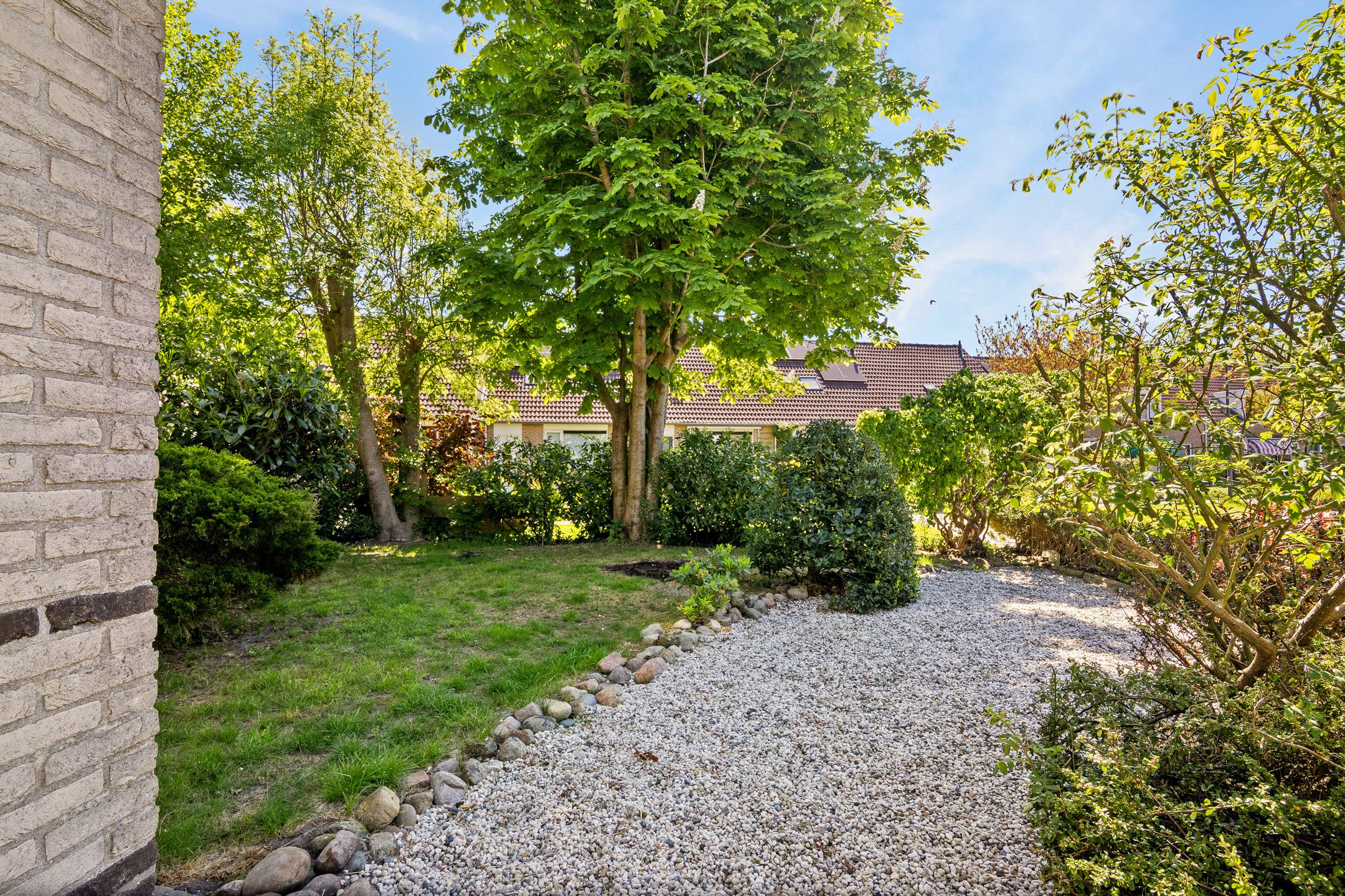 Foto 51 van Rengersstrjitte 24