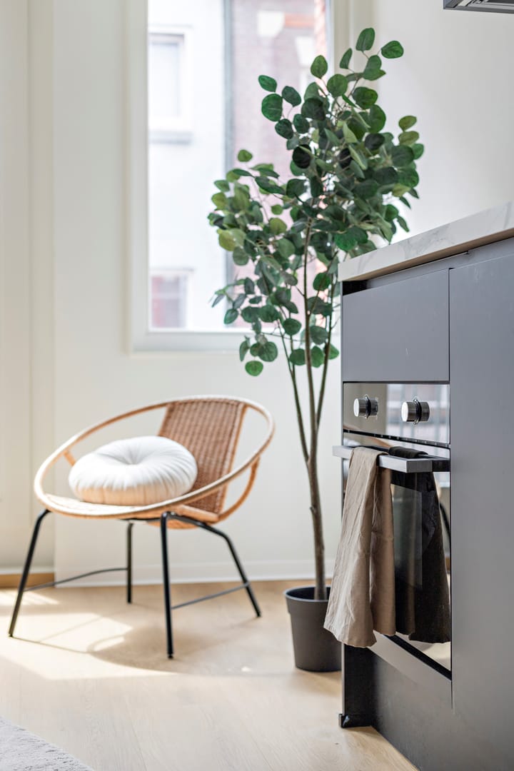 Foto 7 van Raamstraat 5-2