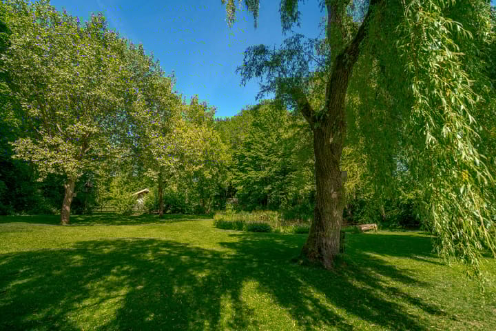 Foto 2 van De Hoek 5