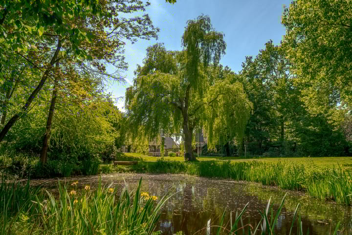 Foto 39 van De Hoek 5