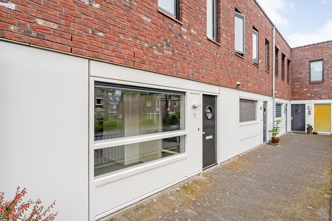 Foto 2 van Puntkroos 17