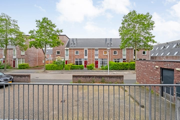 Foto 3 van Puntkroos 17