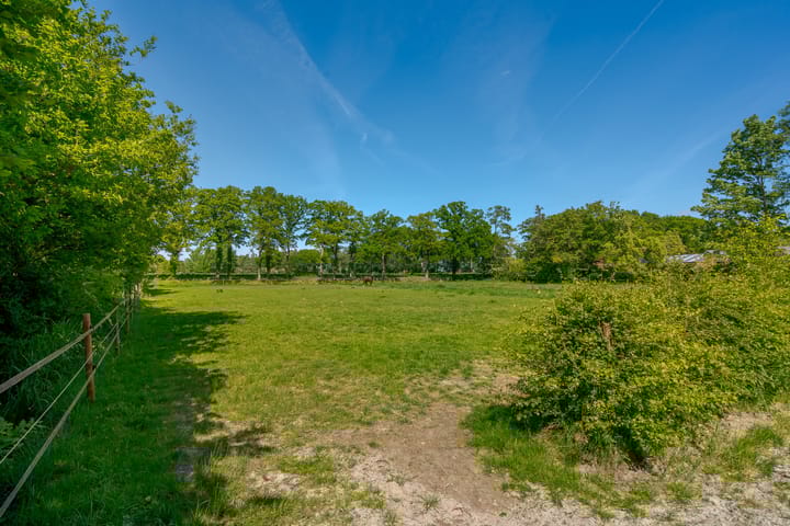 Foto 50 van De Hoek 5