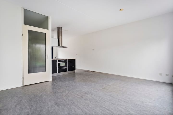 Foto 10 van Puntkroos 17