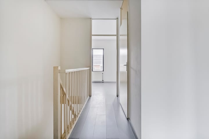 Foto 12 van Puntkroos 17