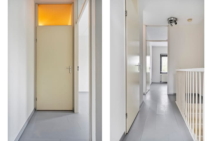 Foto 13 van Puntkroos 17