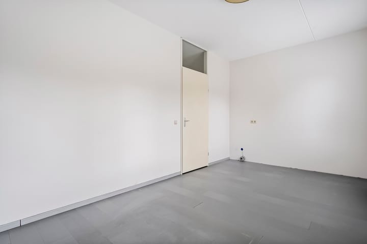 Foto 15 van Puntkroos 17