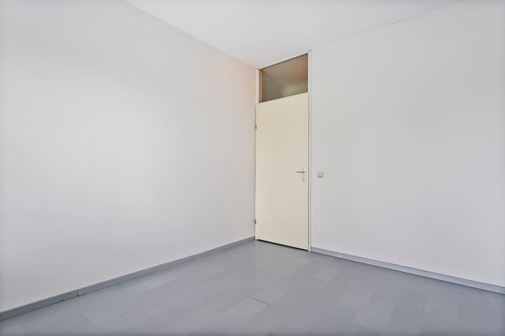 Foto 19 van Puntkroos 17