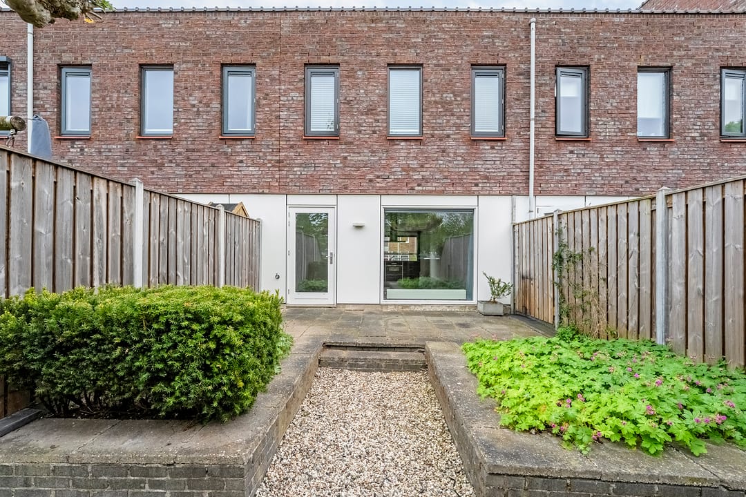 Foto 23 van Puntkroos 17