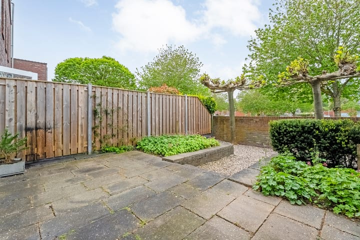 Foto 24 van Puntkroos 17