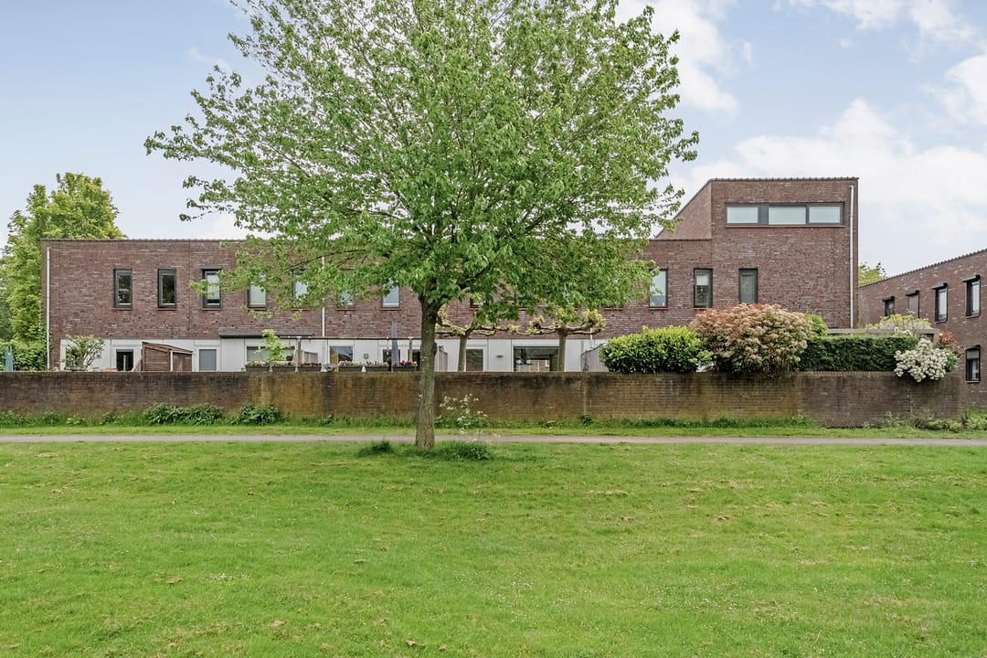 Foto 26 van Puntkroos 17